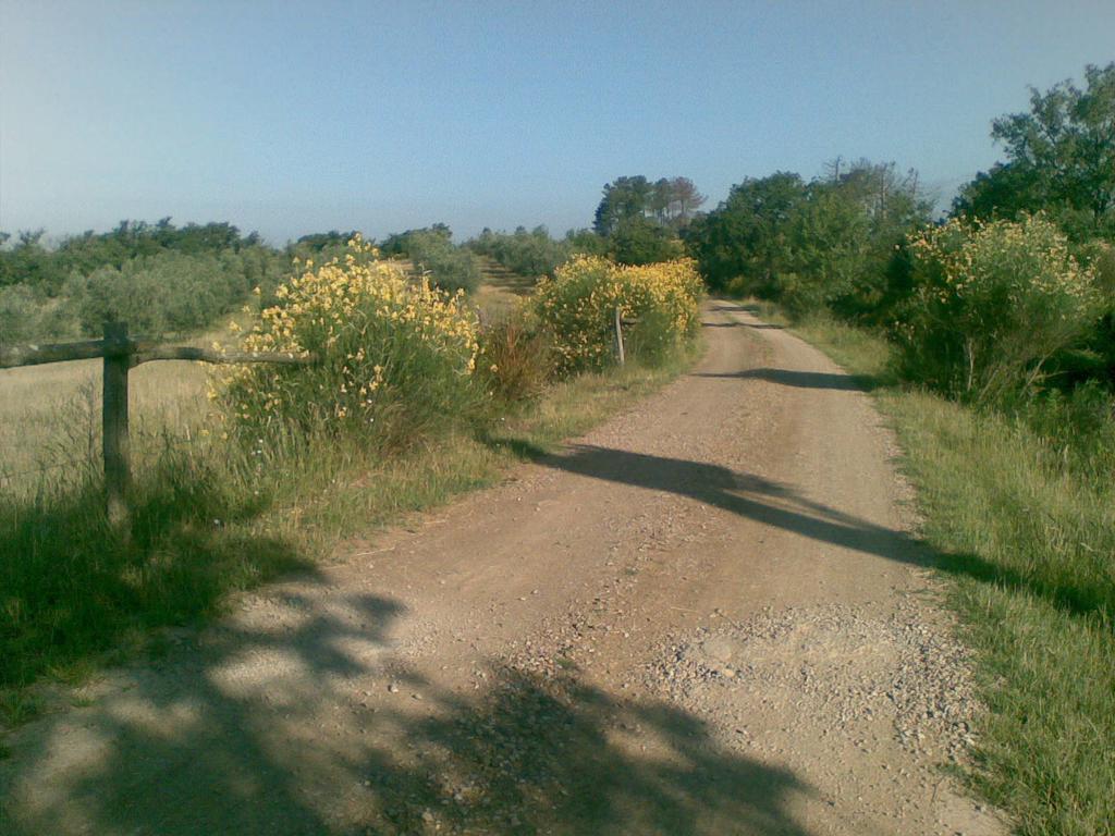 Podere Campovecchio Rapale Bagian luar foto