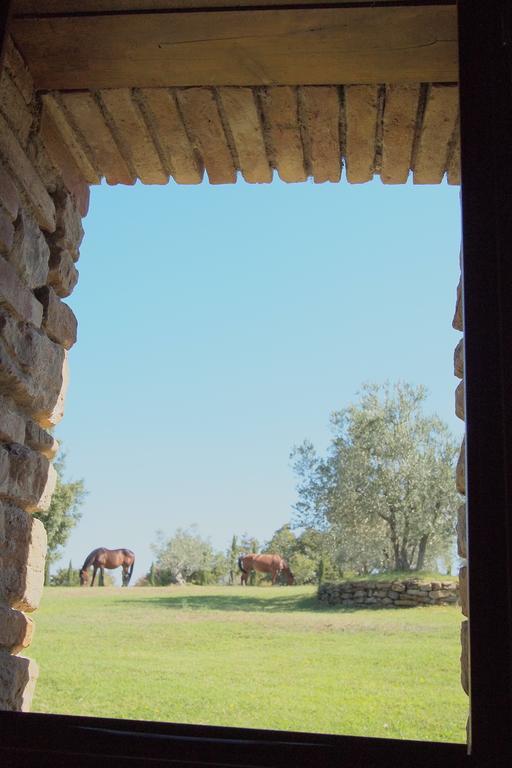 Podere Campovecchio Rapale Ruang foto