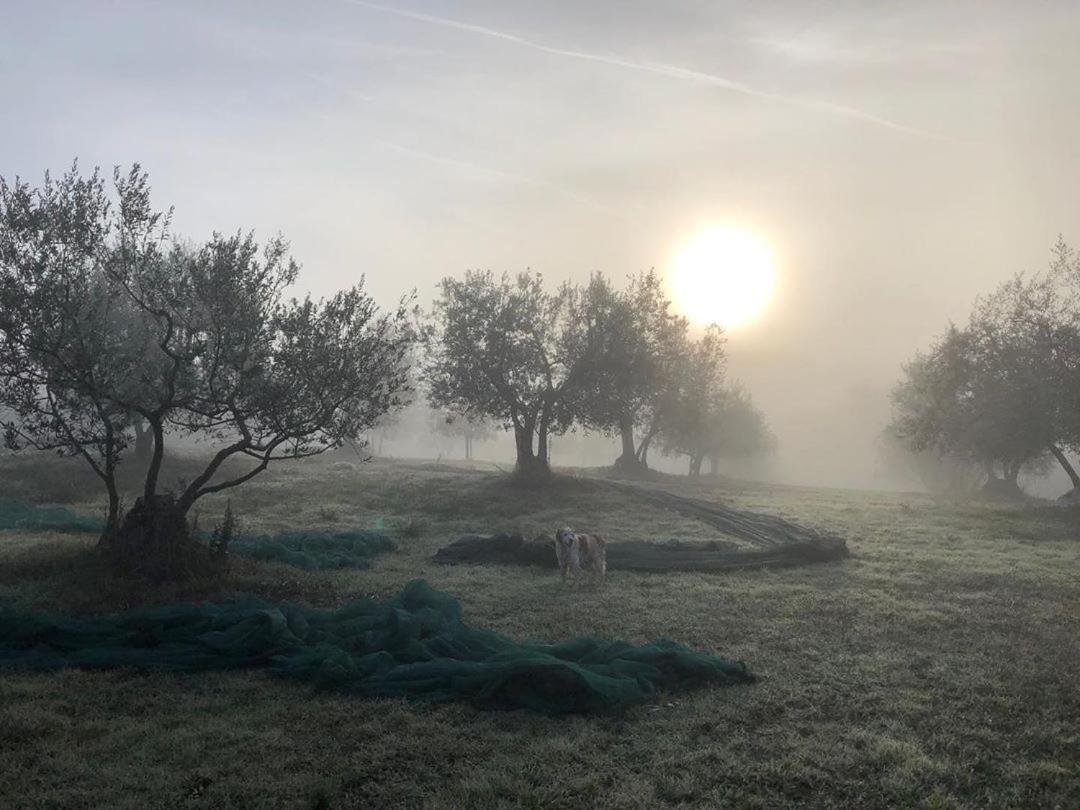 Podere Campovecchio Rapale Bagian luar foto