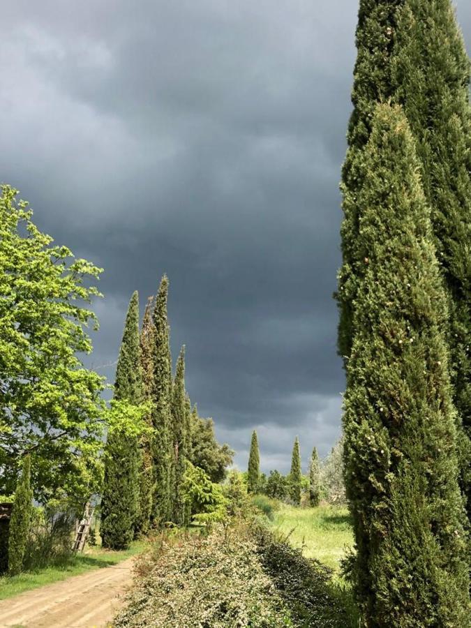 Podere Campovecchio Rapale Bagian luar foto
